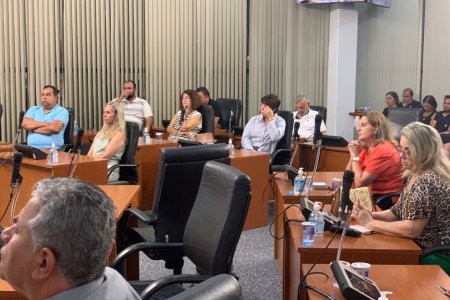 Audiência Publica - 02/12/2024