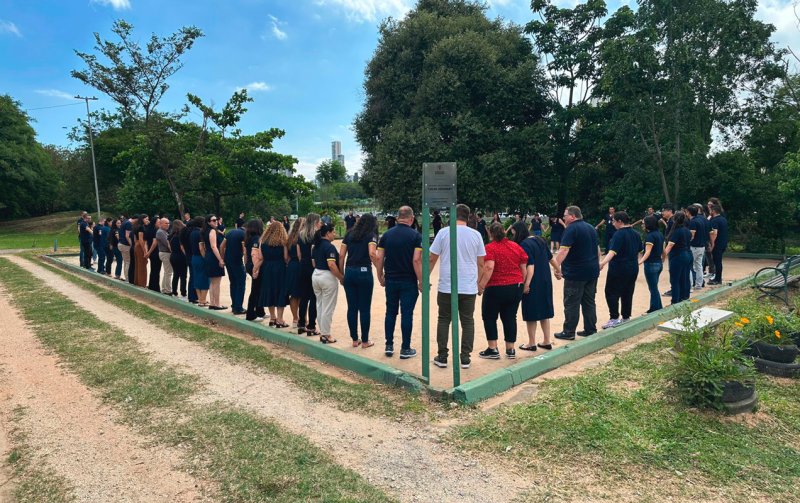 Treinamento ciclos renovados